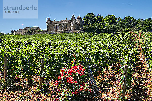 Europa  Frankreich   Departement Bourgogne-Franche-ComtÃ©  Inmitten der Weinberge liegt das ChÃ¢teau de Rully  eine mÃ©diÃ©valistische Festung aus dem 12.