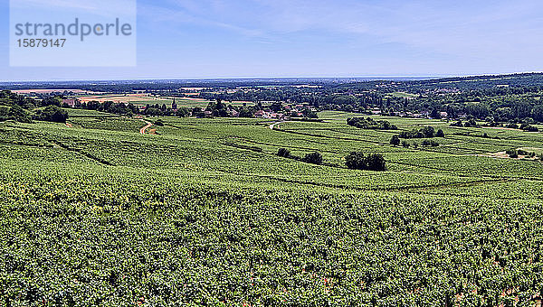 Europa  Frankreich   Bourgogne-Franche-ComtÃ©  Departement  VallÃ©e des Vaux ( Tal der Vaux ) ist eine Mulde hinter dem HÃ?gel Givry  geformt durch einen kleinen Fluss die Orbise  diese Mikroregion besteht aus etwa fÃ?nf DÃ¶rfern an der Chalonnaise KÃ?ste  ich nannte Barizey  Saint-Mard-de-Vaux  Saint-Martin-sous-Montaigu  Saint-Jean-de-Vaux und Saint-Denis-de-Vaux Vaux.