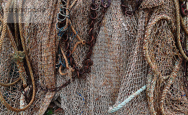 Bunte Fischernetze und Seile  Frankreich  Normandie  Honfleur