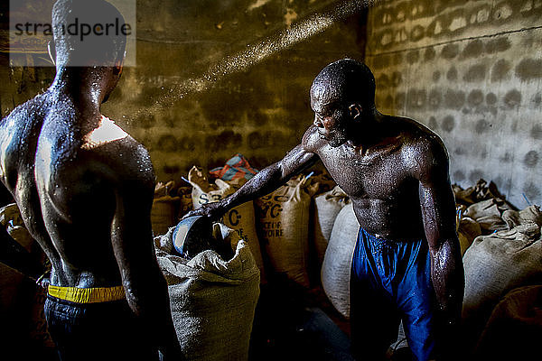 Kakaoarbeiter wiegen einen Sack in Agboville  Elfenbeinküste.