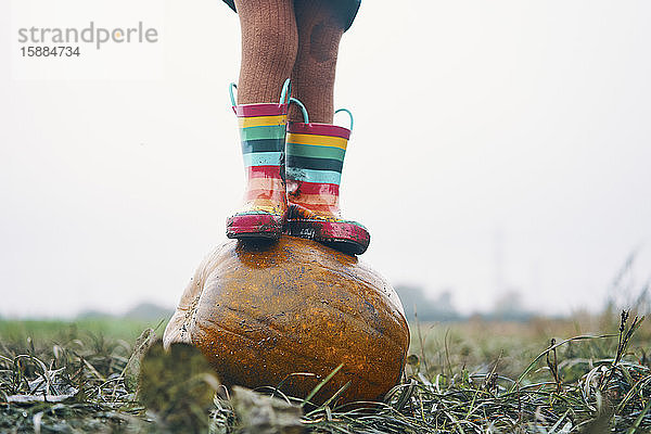 Die Füße eines Kindes in gestreiften Gummistiefeln  das auf einem Kürbis auf einem Feld steht.