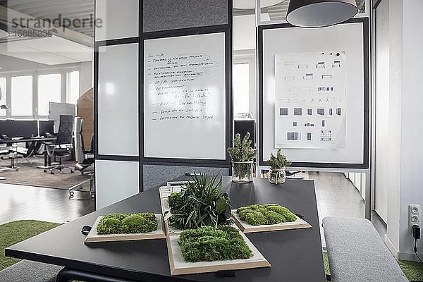 Whiteboard und Pflanzen auf dem Tisch im Büro