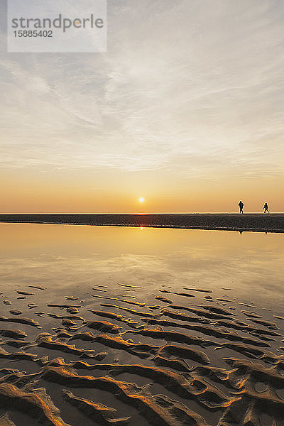Entfernte Ansicht von Silhouetten von Menschen  die bei Sonnenuntergang am Strand gegen den Himmel laufen  Nordseeküste  Flandern  Belgien