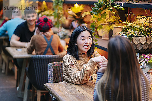 Freunde  die in einem Restaurant etwas trinken  sich unterhalten