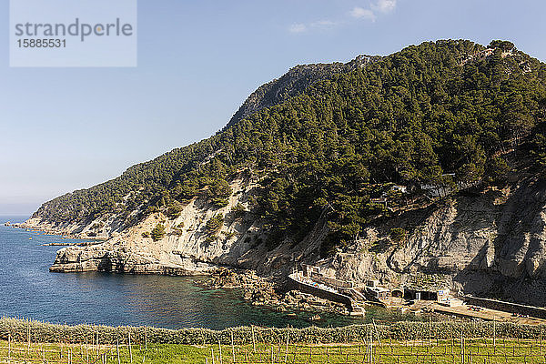 Blick auf die Küste  Cala Banyalbufar  Mallorca  Spanien