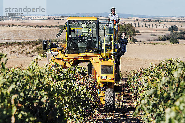 Traubenerntemaschine und junge Winzer bei der Weinlese  Cuenca  Spanien