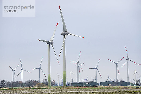 Deutschland  Schleswig-Holstein  Windparkturbinen stehen gegen klaren Himmel