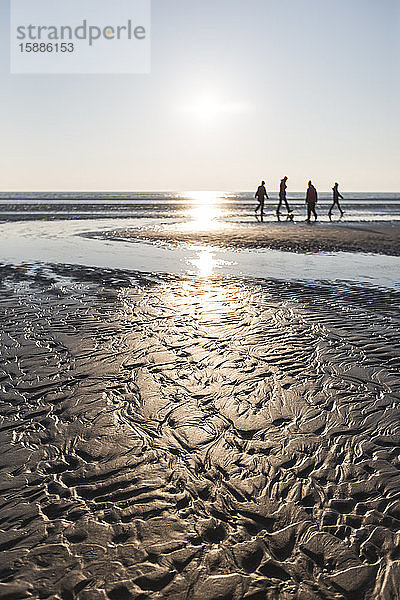 Dänemark  Romo  Sandküstenstrand bei Sonnenuntergang