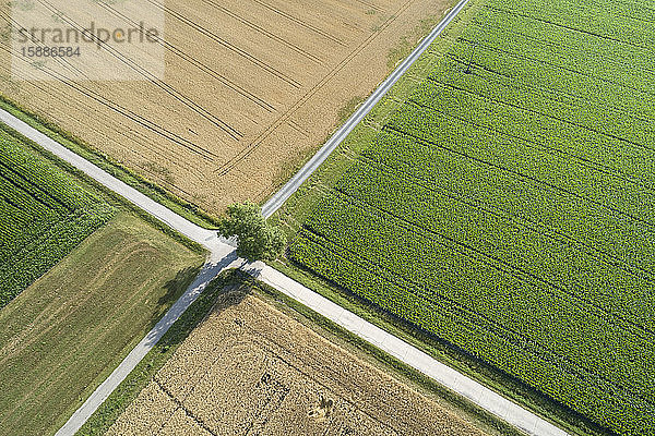 Deutschland  Bayern  Drone-Ansicht der Straßenkreuzung zwischen ländlichen Feldern im Sommer