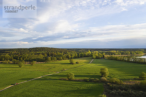 Deutschland  Brandenburg  Drohnenansicht einer grünen Landschaft