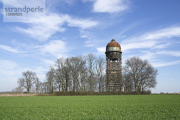 Deutschland  Nordrhein-Westfalen  Ruhrgebiet  Grasfeld mit Wasserturm Lanstroper Ei im Hintergrund