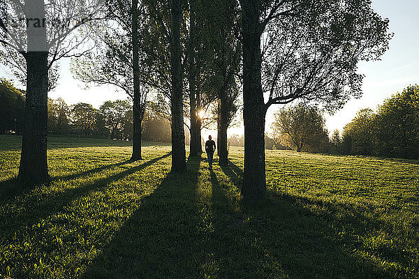 Silhouette eines Mannes  der bei Sonnenaufgang in einem Park spazieren geht