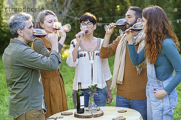 Gruppe von Freunden trinkt Rotwein auf ihrem Ausflug aufs Land