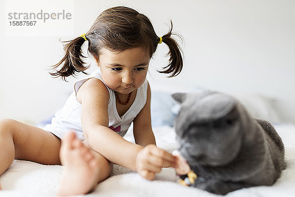 Kleines Mädchen sitzt auf dem Bett und spielt mit der Katze