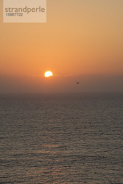 Portugal  Oeste  Alcobaca  Atlantik bei stimmungsvollem orangefarbenem Sonnenuntergang