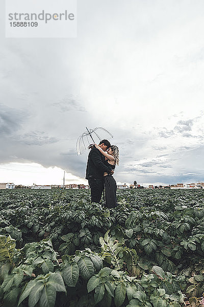 Junges Paar mit durchsichtigem Regenschirm steht in einem Feld und umarmt sich  Alboraya  Spanien
