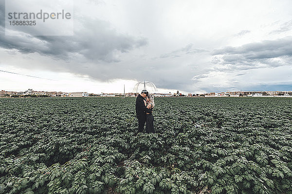 Junges Paar mit durchsichtigem Regenschirm steht in einem Feld und umarmt sich  Alboraya  Spanien