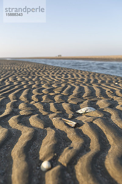Dänemark  Romo  Geriffelter Strandsand