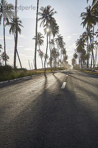 Ghana  Sonne scheint über Palmen entlang einer leeren Asphaltstraße