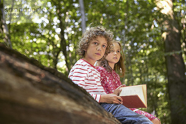 Kinder mit Buch auf einem Baumstamm im Wald sitzend