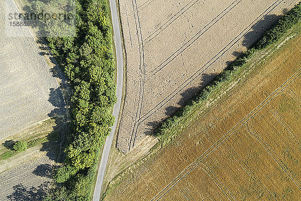 Deutschland  Bayern  Drohnenansicht einer Landstraße  die im Sommer durch gelbe Felder führt