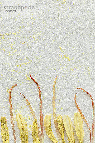 Fragmentierte gelbe Blumen auf Papierblatt