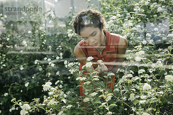 Porträt einer jungen Frau  die hinter einer Glasscheibe in einem städtischen Garten steht