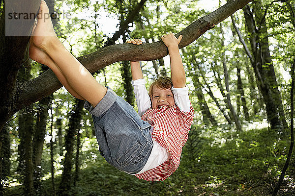 Glücklicher Junge klettert auf Baum im Wald