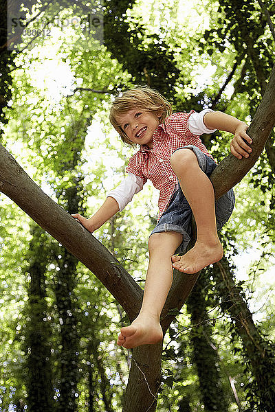 Glücklicher Junge klettert auf Baum im Wald