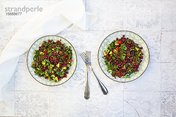 Zwei Teller veganer Salat mit Linsen  Gurken  Paprika  Petersilie und Granatapfelkernen
