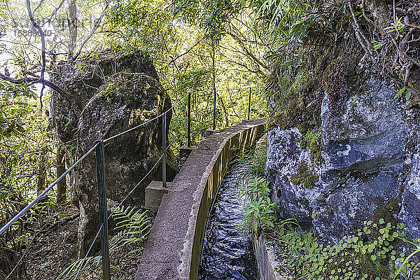 Portugal  Madeira  Ribeiro Frio  Levada do Furado im Naturpark von Madeira
