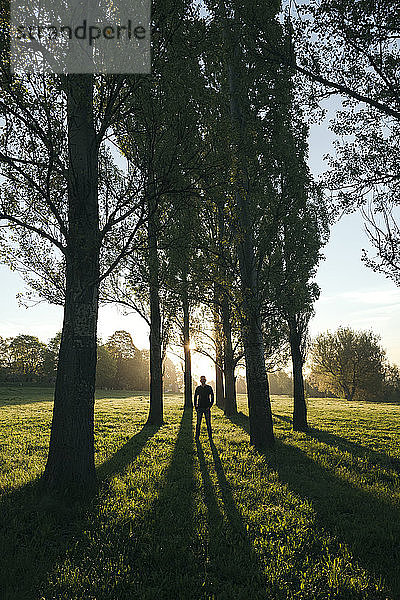 Silhouette eines Mannes  der bei Sonnenaufgang in einem Park zwischen Bäumen steht