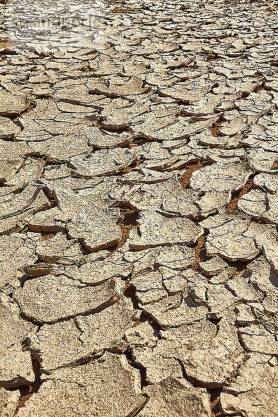 Namibia  Trockener Boden in der Tonpfanne von Deadvlei