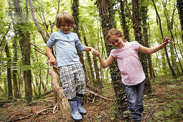 Kinder gehen Hand in Hand im Wald
