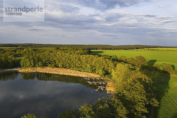 Deutschland  Brandenburg  Drohnenansicht des mit Bäumen gesäumten Seeufers