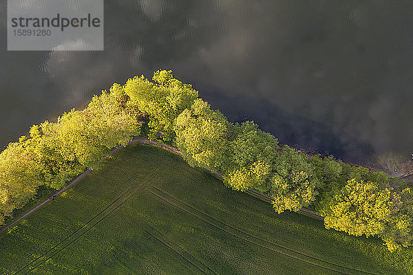 Deutschland  Brandenburg  Drohnenansicht des Landschaftsfeldes und der Seeuferbäume