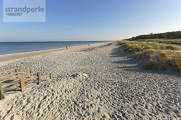 Deutschland  Mecklenburg-Vorpommern  Prerow  Sandstrand der Ostsee