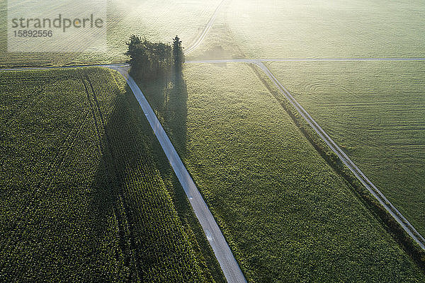 Deutschland  Bayern  Drohnenblick auf grüne Landschaftsfelder in der nebligen Morgendämmerung