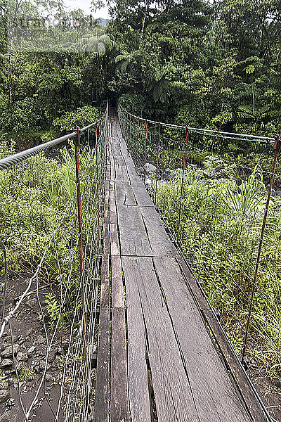 Costa Rica  Puntarenas  Monteverde  Einfache Hängebrücke im Gebiet des Vulkans Arenal