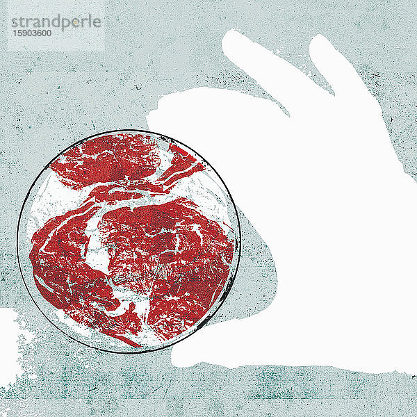 Hand hält Petrischale mit rohem Fleisch