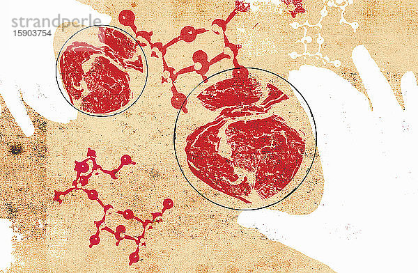 Moleküle und Petrischalen mit rohem Fleisch