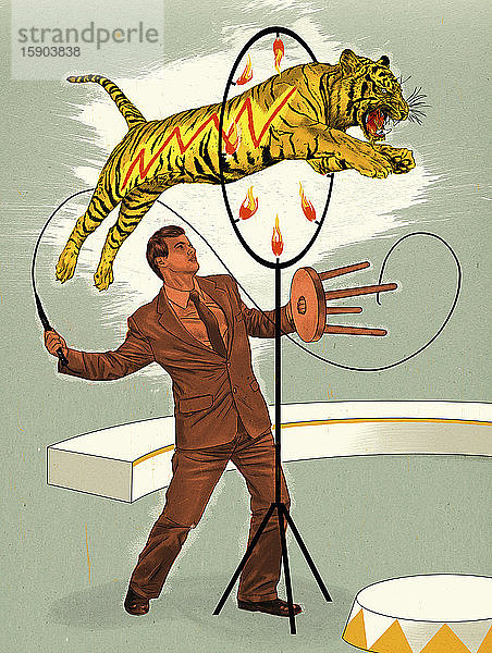 Tiger springt für Löwenbändiger Geschäftsmann durch Reifen