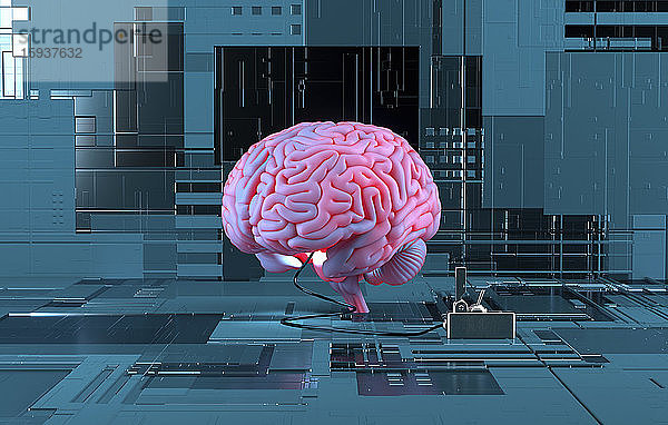 Elektronisches Gehirn verbunden mit Computertechnologie