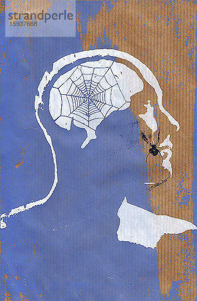 Spinne spinnt ein Netz im Kopf eines Mannes
