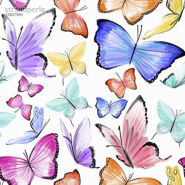 Jede Menge Schmetterlinge