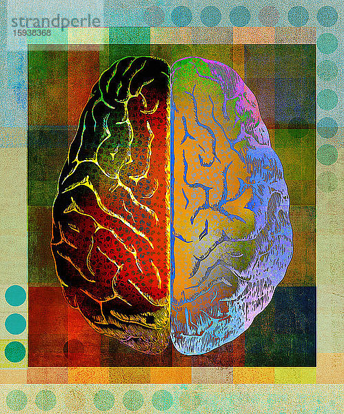 Draufsicht auf die rechte und linke Seite des Gehirns in leuchtenden Farben
