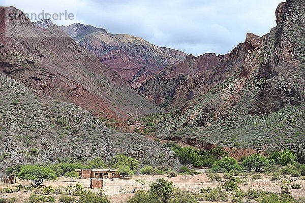 Einsames Haus vor kargen Bergen  Ruta 40  Provinz La Rioja  Argentinien  Südamerika