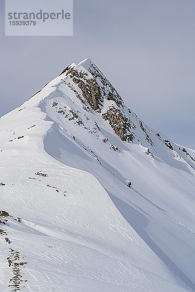Mölser Sonnenspitze mit Skispuren  unberührte schneebedeckte Berge  Wattentaler Lizum  Tuxer Alpen  Tirol  Österreich  Europa