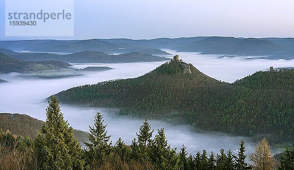 Blick vom Rehbergturm auf die Burg Trifels und Burg Anebos  Morgenstimmung  Annweiler  Pfälzer Wald  Rheinland-Pfalz  Deutschland  Europa