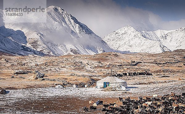 Jurte und Schafherde vor verschneitem Altaigebirge im Herbst  Provinz Bayan-Ulgii  Mongolei  Asien